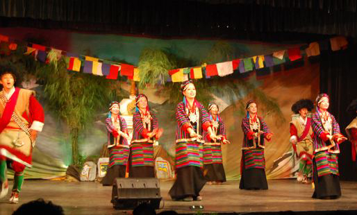 Tibetan Institute Of Performing Arts